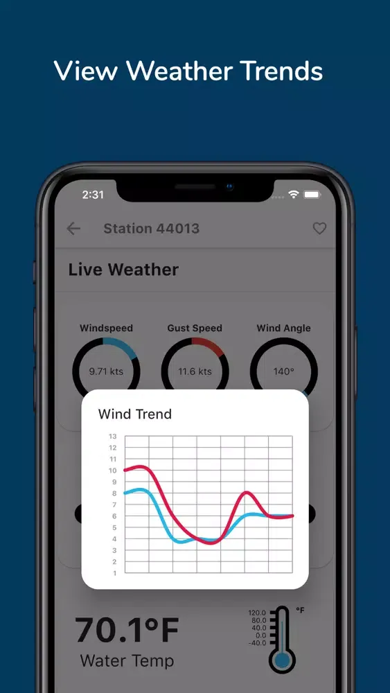 Wavy Weather Pro স্ক্রিনশট