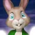 Easter Rabbit AR