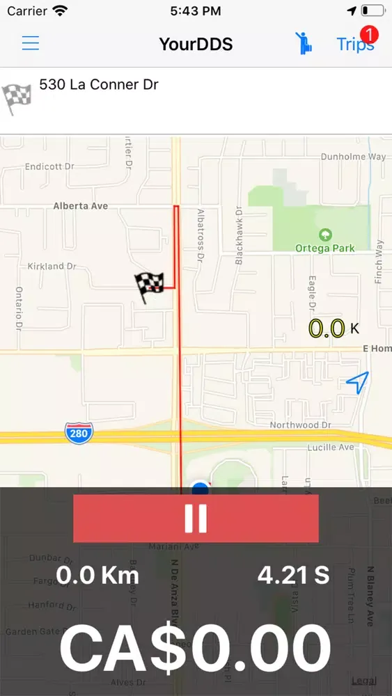 تصاویر Your Designated Driver Service