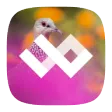 WildPapers