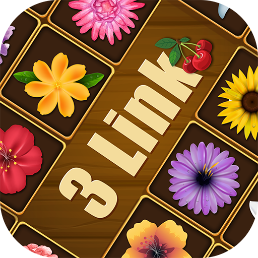 3 Link