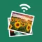 Photo Transfer Pro Edition