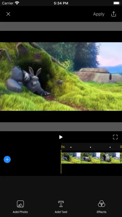 Axion Video Editor スクリーンショット