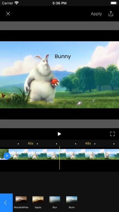 Axion Video Editor スクリーンショット