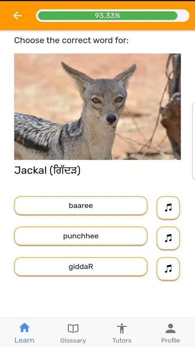 Tangkapan layar Fluently - Learn Punjabi
