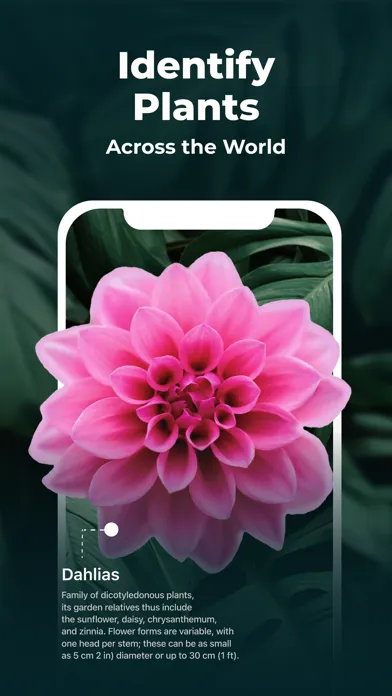 Plant Identifier - FREE of ads应用截图