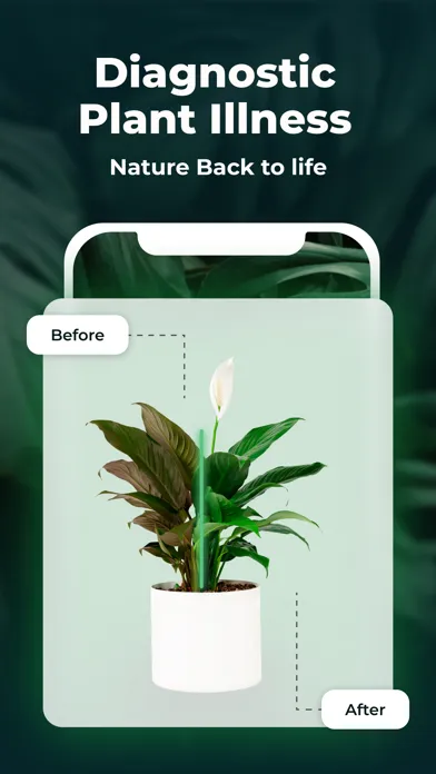Plant Identifier - FREE of ads应用截图