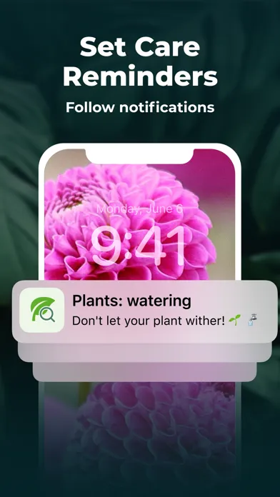 Plant Identifier - FREE of ads应用截图