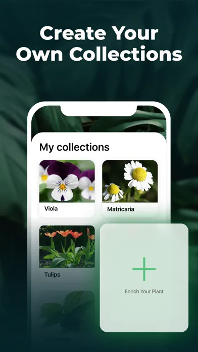 Plant Identifier - FREE of ads应用截图