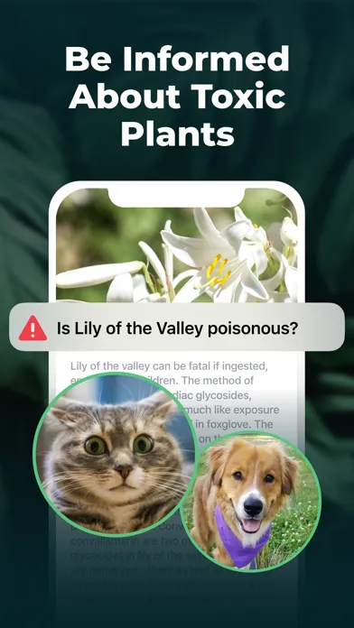 Plant Identifier - FREE of ads应用截图