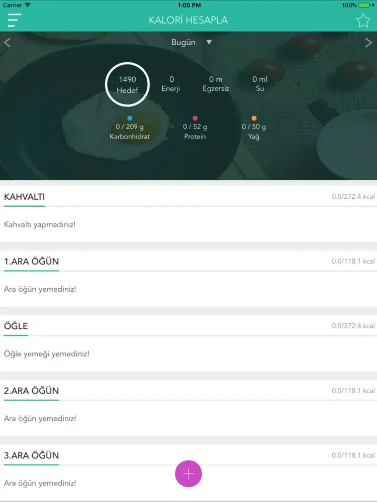 Tangkapan skrin Diyetli Kal iPad 