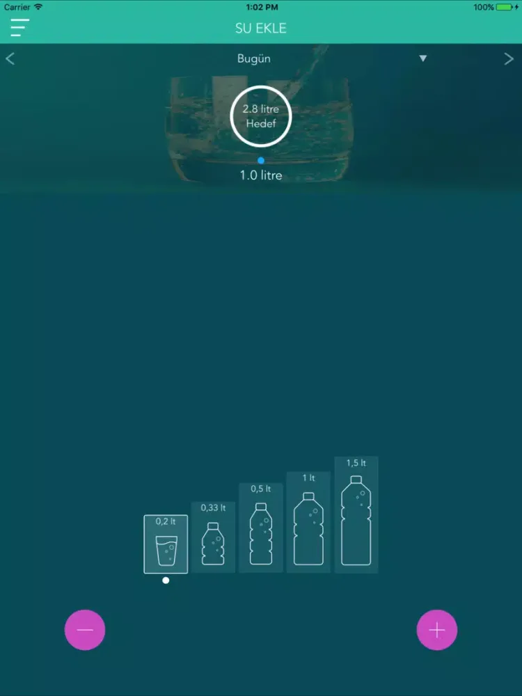 Tangkapan skrin Diyetli Kal iPad 
