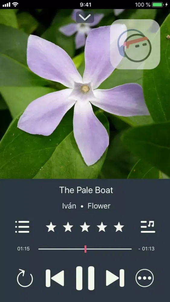Screenshot di Next Song Music Player