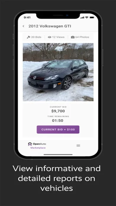 تصاویر Open Auto