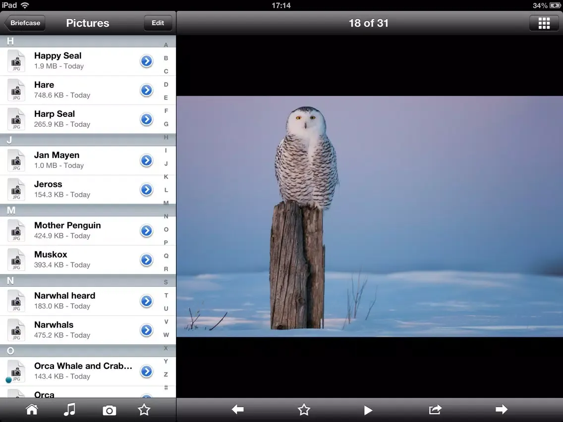 Tangkapan layar Open Access iPad 