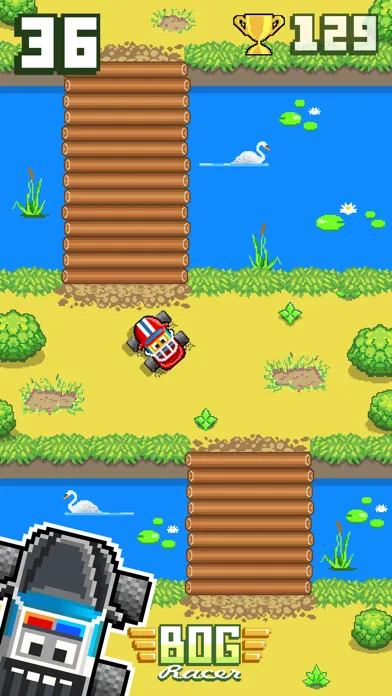Ảnh chụp màn hình của Bog Racer