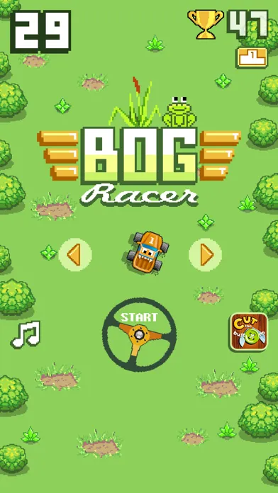 Ảnh chụp màn hình của Bog Racer