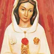 Oraciones a la Rosa Mística