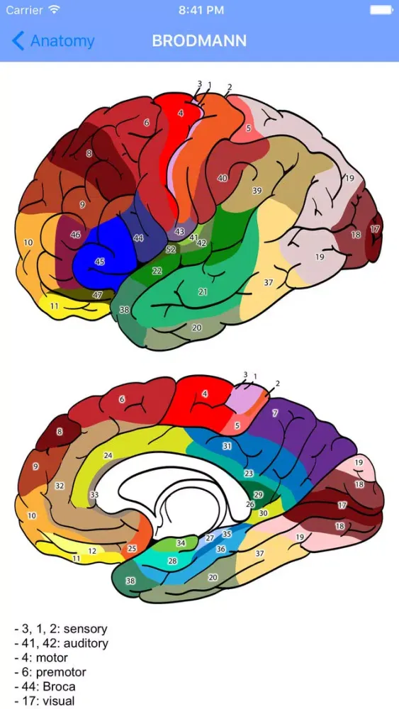 Oracle of Neurology and Neurosurgery应用截图