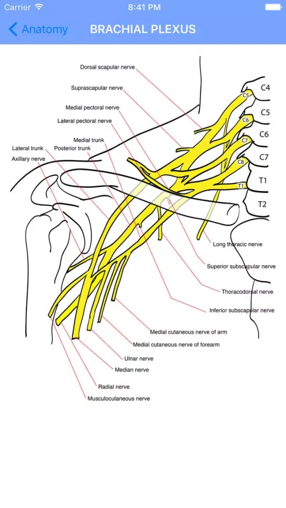 Oracle of Neurology and Neurosurgery应用截图