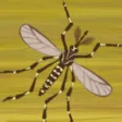 Slappy Bug Slappy Bug