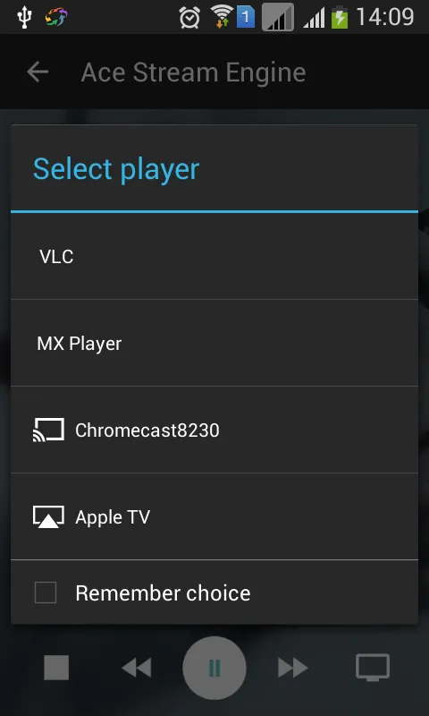 Ace Stream Engine应用截图
