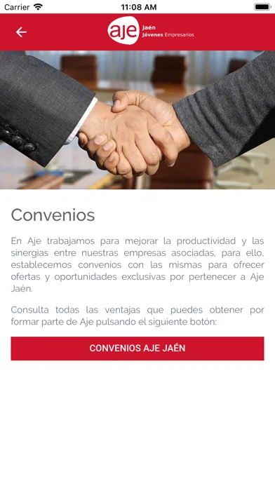 ภาพหน้าจอของ AJE Jaén
