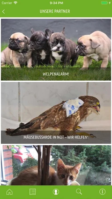 Zrzuty ekranu 'mensch & tier' Magazin