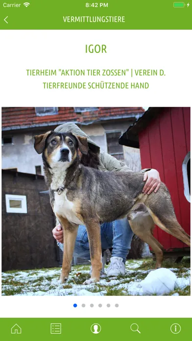 Zrzuty ekranu 'mensch & tier' Magazin