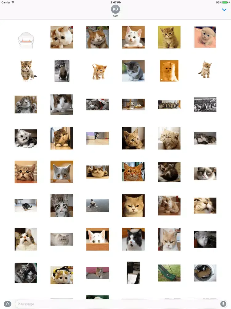 Скриншоты Small Kitty iPad 