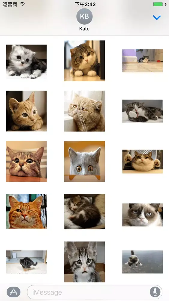 Скриншоты Small Kitty