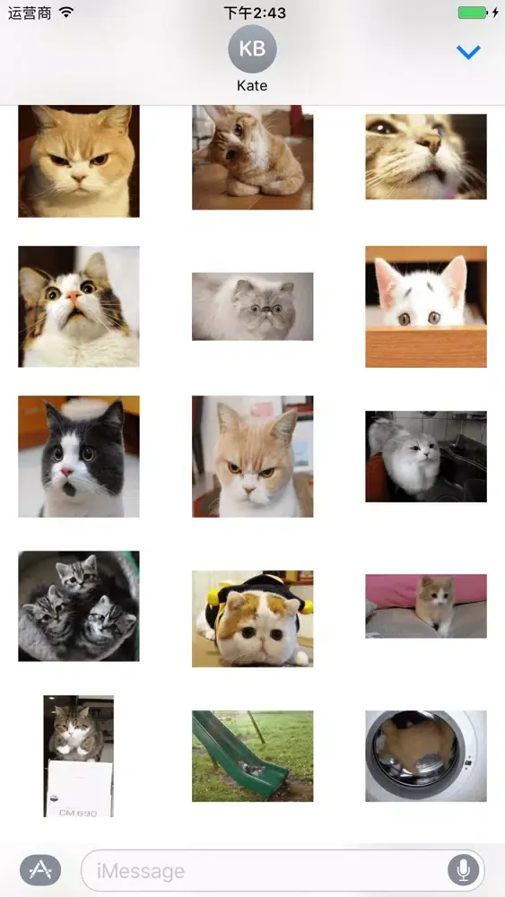 Скриншоты Small Kitty