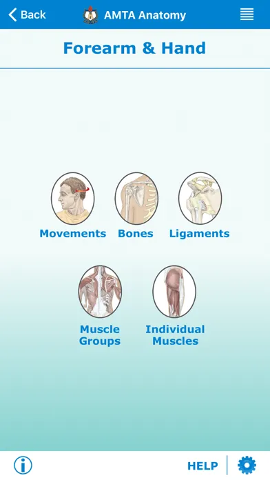 Capturas de pantalla de AMTA Massage Anatomy Guide