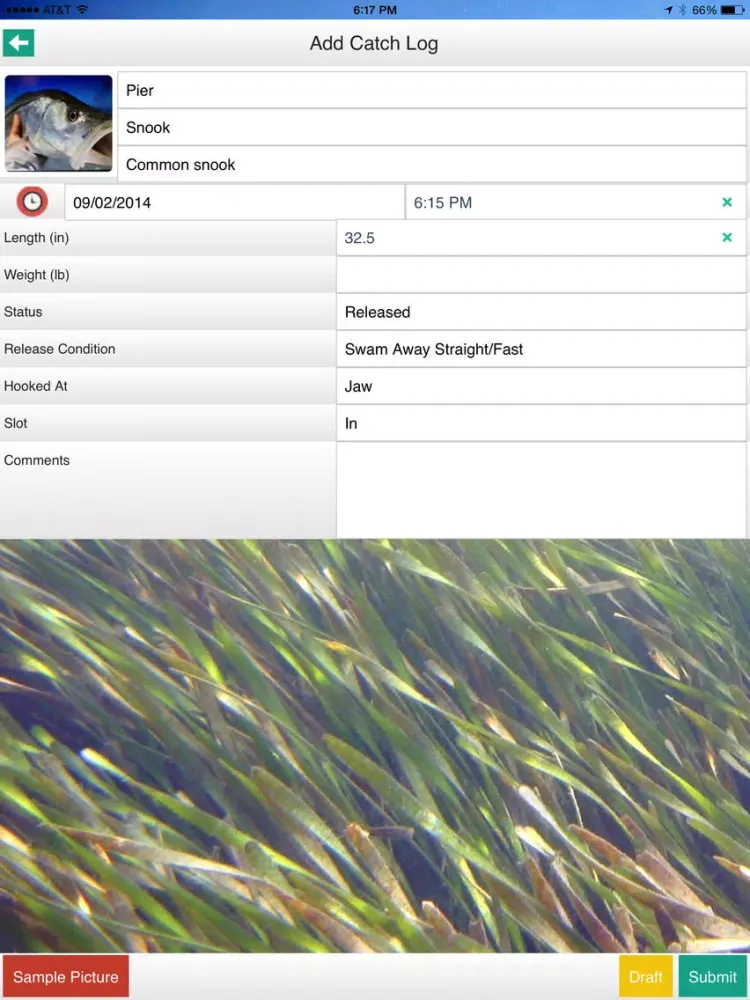 iAngler Lite iPad  Ekran Görüntüleri