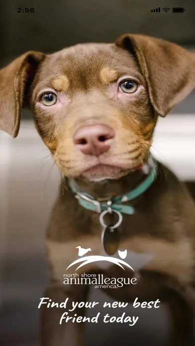 Adopt a Rescue應用截圖