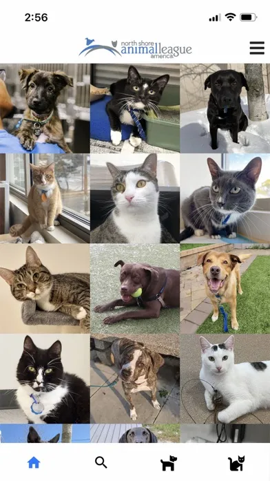 Adopt a Rescue應用截圖
