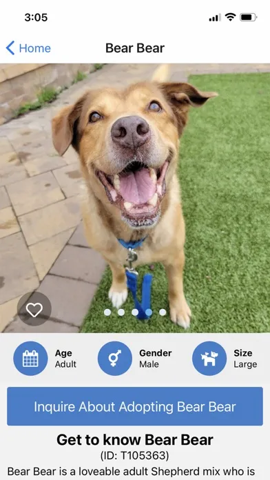 Adopt a Rescue應用截圖