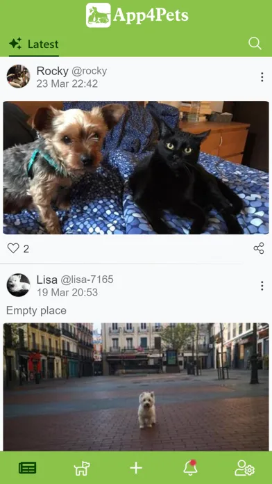 Tangkapan skrin App4Pets - Pets social network
