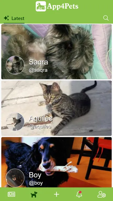 Tangkapan skrin App4Pets - Pets social network