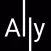 Ally Pay
