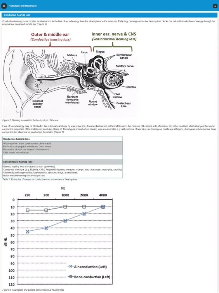 Screenshot di Audiology and Hearing Aids for Otolaryngologist iPad 