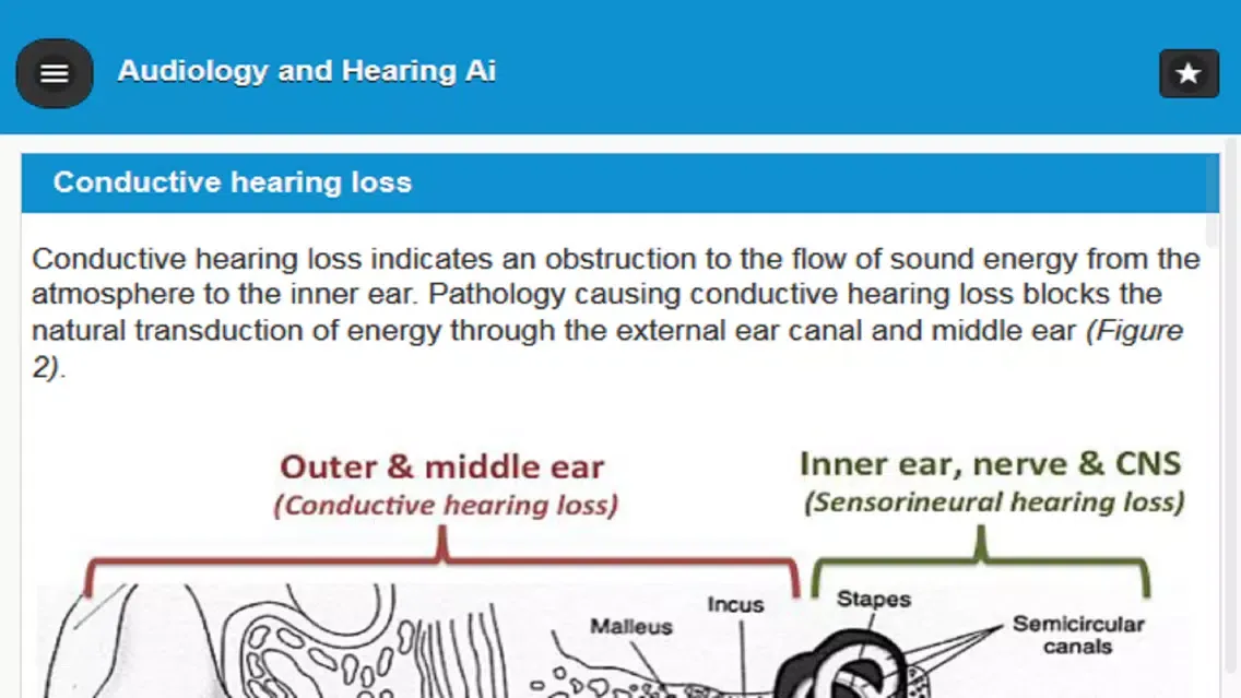 Screenshot di Audiology and Hearing Aids for Otolaryngologist