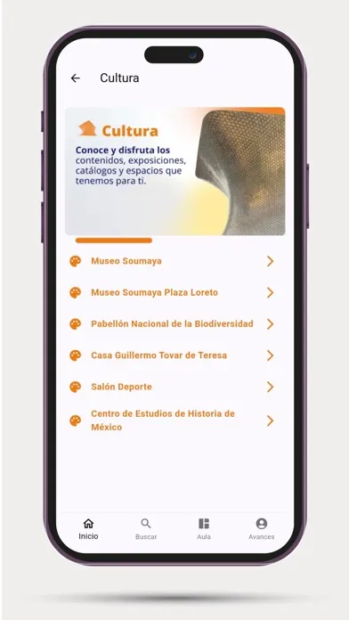 Aprende Screenshots