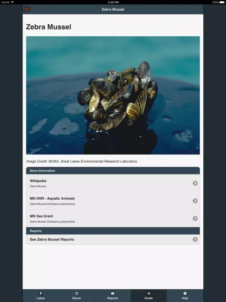 ภาพหน้าจอของ AquaHunter iPad 