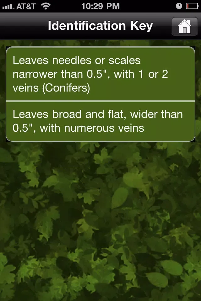 Capturas de tela do Key to Woody Plants of Wisconsin Forests