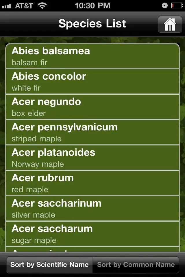 Capturas de tela do Key to Woody Plants of Wisconsin Forests
