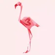 Flamingo Consulting Flamingo Consulting