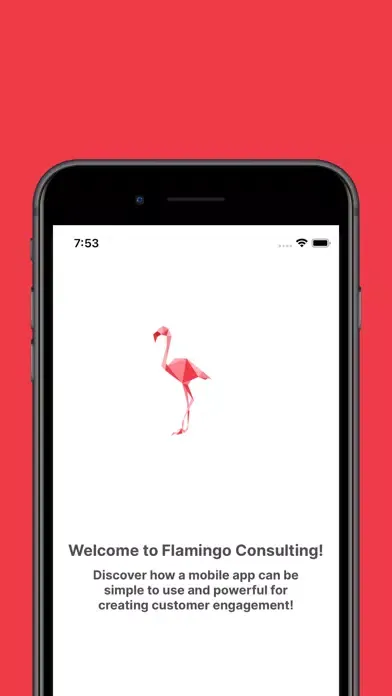Tangkapan layar Flamingo Consulting