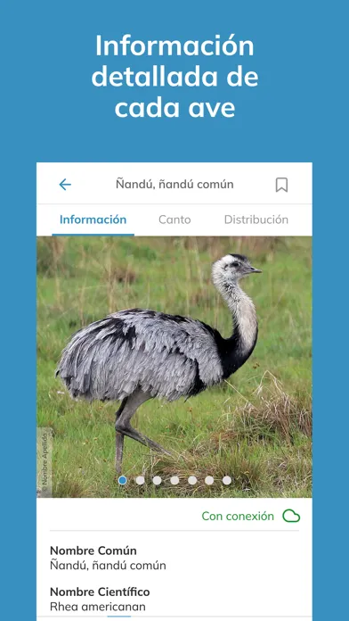 Screenshot di Aves argentinas