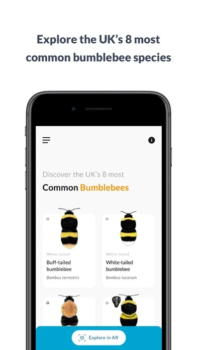 What’s that bumblebee Screenshots